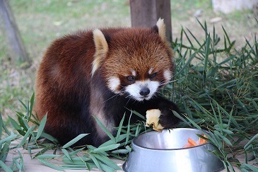 s-IMG_3876.jpg