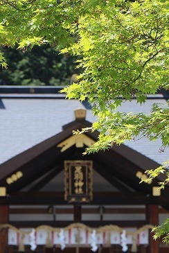 s-IMG_4018.jpg