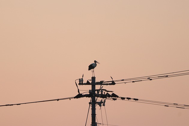 s-IMG_4038.jpg