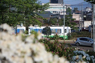 s-IMG_4062.jpg
