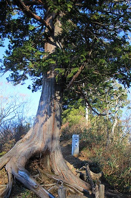 s-IMG_4092.jpg