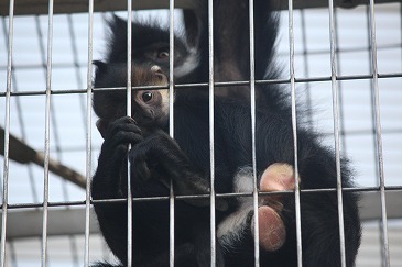 s-IMG_4148.jpg