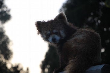 s-IMG_4165.jpg