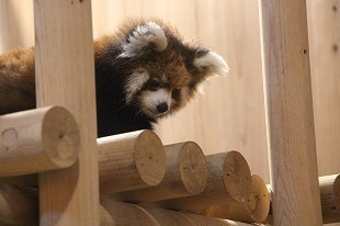 s-IMG_4288.jpg