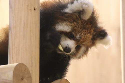 s-IMG_4323.jpg