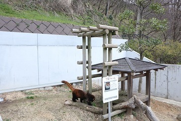 s-IMG_4354.jpg