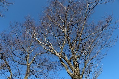 s-IMG_4430.jpg