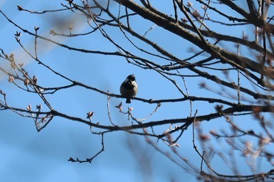 s-IMG_4456.jpg