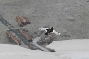 s-IMG_4533.jpg