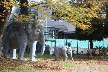 s-IMG_4726.jpg