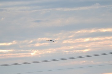 s-IMG_4857.jpg