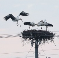 s-IMG_4881.jpg