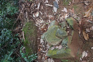 s-IMG_4929.jpg