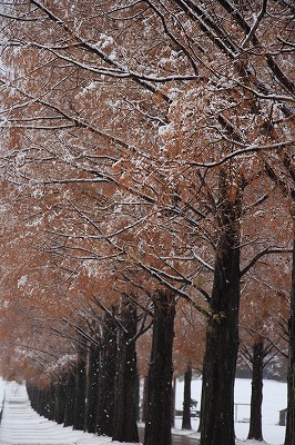 s-IMG_4967.jpg