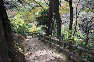 s-IMG_4968.jpg