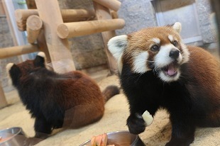 s-IMG_5181.jpg