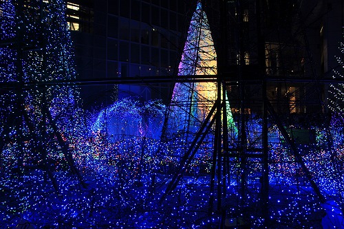 s-IMG_5252.jpg