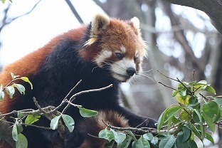 s-IMG_5269.jpg