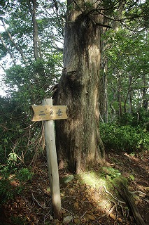 s-IMG_5395.jpg