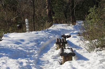 s-IMG_5522.jpg