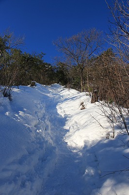 s-IMG_5525.jpg