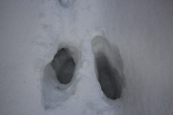 s-IMG_5621.jpg