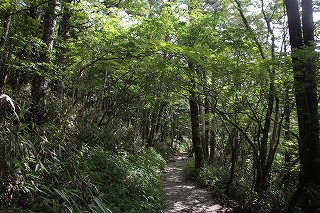 s-IMG_5634.jpg