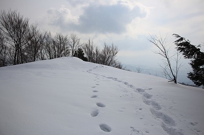 s-IMG_5720.jpg