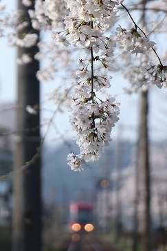 s-IMG_5748.jpg