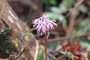 s-IMG_5766.jpg