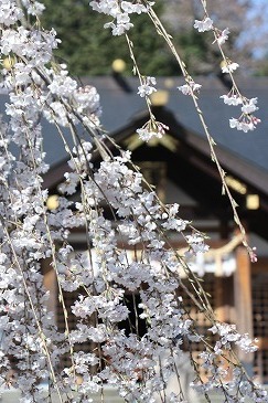 s-IMG_5839.jpg