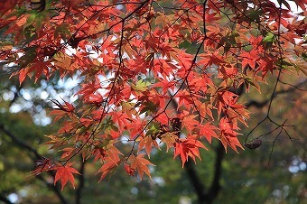 s-IMG_5850.jpg