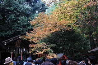 s-IMG_5889.jpg