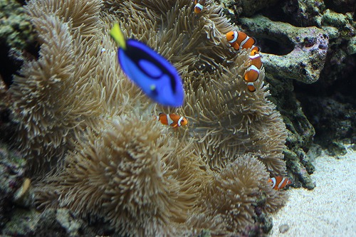 s-IMG_5897.jpg