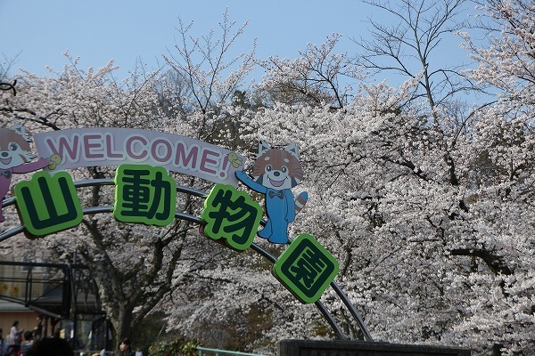 s-IMG_6005.jpg