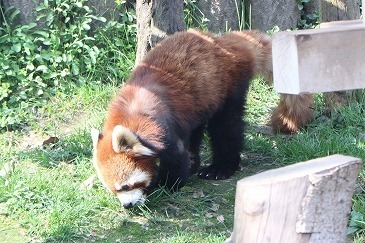 s-IMG_6011.jpg