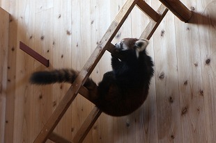 s-IMG_6053.jpg
