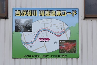 s-IMG_6193.jpg
