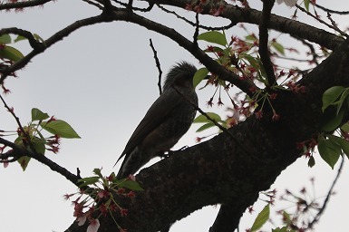 s-IMG_6335.jpg