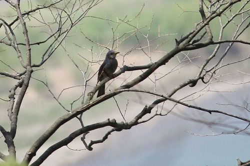 s-IMG_6385.jpg