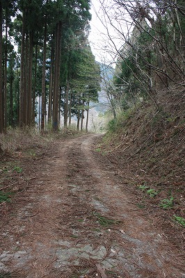 s-IMG_6510.jpg