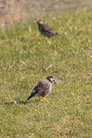 s-IMG_6526.jpg