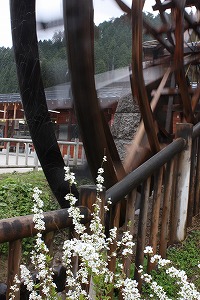 s-IMG_6623.jpg
