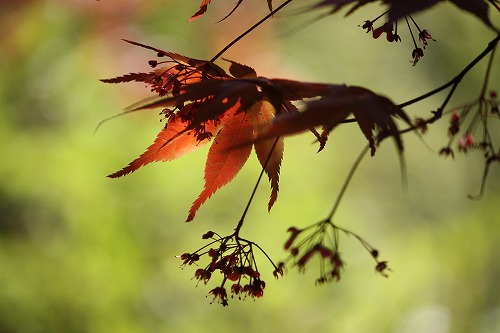 s-IMG_6879.jpg