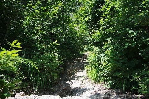 s-IMG_6887.jpg