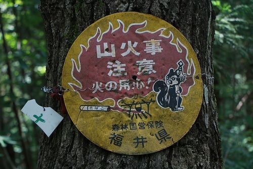 s-IMG_6903.jpg