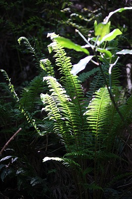 s-IMG_6998.jpg