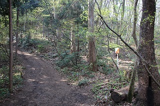 s-IMG_7036.jpg