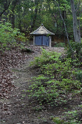 s-IMG_7091.jpg