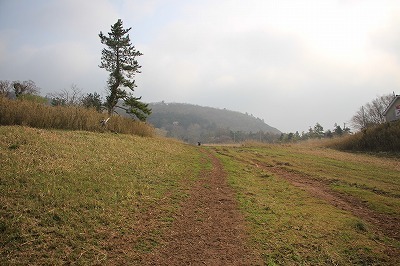 s-IMG_7154.jpg